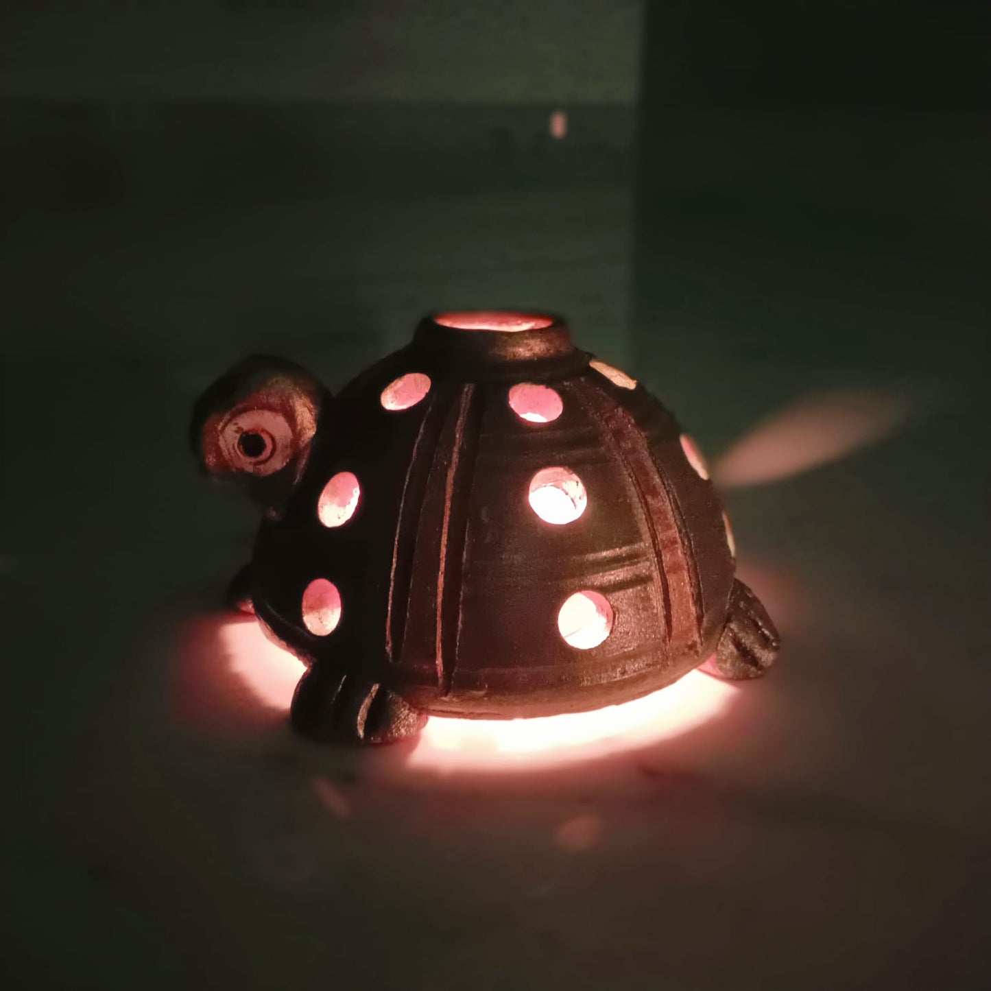 Tortoise (Aama) Shape Handmade Teracotta