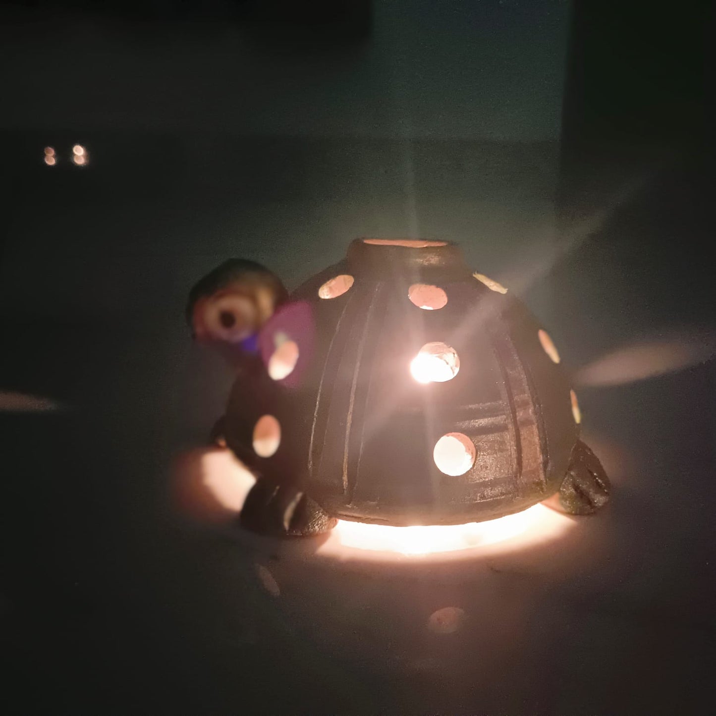 Tortoise (Aama) Shape Handmade Teracotta